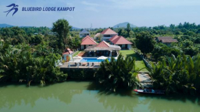 Bluebird Lodge Kampot